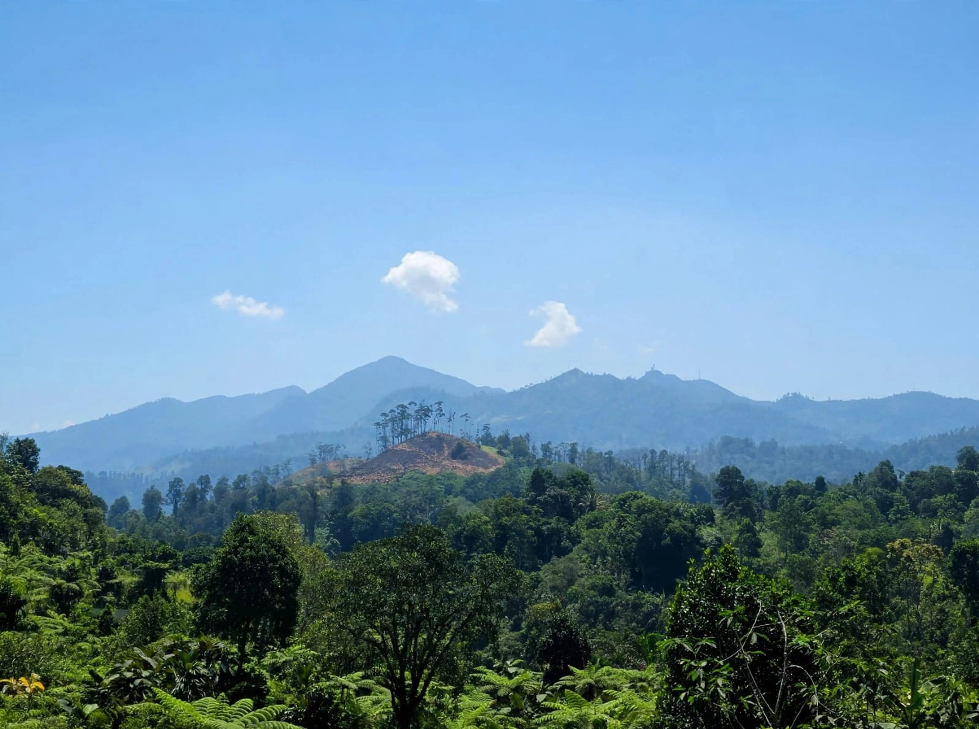 Scenic Mountain View at Ella Dream Mount